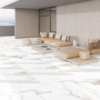 Gresie portelanata rectificata Miami Natural  60 x 60  lucioasa - 2