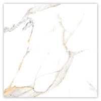 Gresie portelanata rectificata Miami Natural  60 x 60  lucioasa - 1