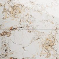 Gresie portelanata rectificata Moschino Endless  60X120  lucioasa - 1