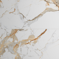 Gresie portelanata rectificata Nover White Carving  60X120 cm  mata - 1