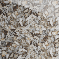 Gresie portelanata rectificata Oyster Green  60X60  lucioasa - 1