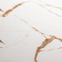 Gresie portelanata rectificata Raw Silk Onyx Endless  60X120  lucioasa - 1