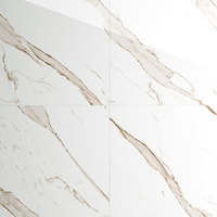 Gresie portelanata rectificata Royal Statuario Grey  60X60  lucioasa - 1