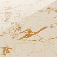 Gresie portelanata rectificata Sicilia  60X60  lucioasa - 5