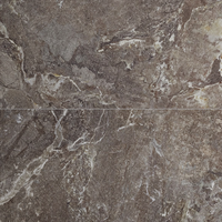 Gresie portelanata rectificata Snake Stone Bronze  60X120  mata - 1