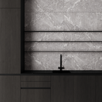 Gresie portelanata rectificata Snake Stone Silver  60X120  mata - 2