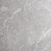 Gresie portelanata rectificata Snake Stone Silver  60X120  mata - 1