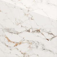 Gresie portelanata rectificata Venetta  60X120  lucioasa - 1