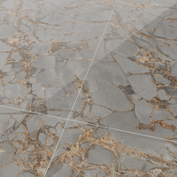 Gresie portelanata rectificata Victoria Endless  60X120  lucioasa - 5