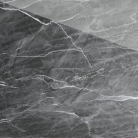 Gresie portelanata rectificata William Dark  60X120  lucioasa - 2
