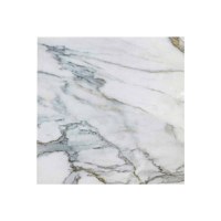 Gresie portelanata Satvario  60 x 60  lucioasa - 1