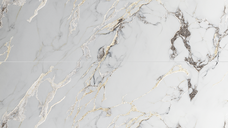 Gresie rectificata exterior / interior Monet Gold Insert  60 x 120 cm  lucioasa  portelanata  tip marmura