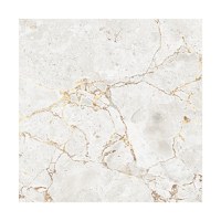 Gresie Space Grey  60 x 60 - 1