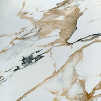 Gresie Sparta Beige  61X61  lucioasa - 1