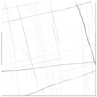 Gresie Star White  60 x 60  lucioasa - 1
