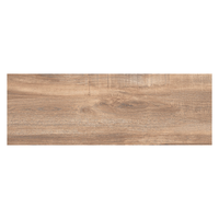 Gresie tip parchet exterior / interior Wooden Brown  20 5 x 60 cm  mata  portelanata  antiderapanta - 3