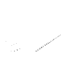 Panou gard bordurat zincat  2000 x 2500 mm - 1