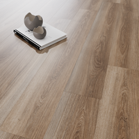 Parchet laminat Silver Polar Oak  8 mm  clasa 31  AC3 - 1