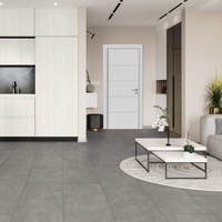 Parchet laminat Stonex Grey Concrete  10 mm  Clasa 33  AC5 - 3