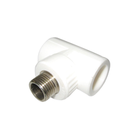 Teu PPR  filet exterior  20 mm x 1/2 - 1