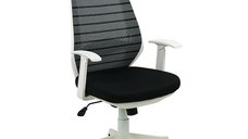 Scaun Ergonomic SCA4 - Confort si Design Personalizat