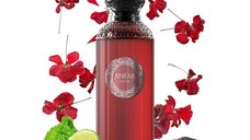 Apa de parfum ANFAR FOUCO EDP 100ML