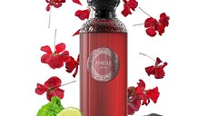 Apa de parfum ANFAR FOUCO EDP 100ML