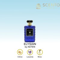 Apă de parfum Asten, ELYSIAN, barbati, 100ml - 1