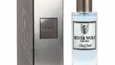 Apa de Parfum, Diane Castel, Silver Wolf 100 ml, barbati - Original Franta