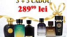 Black Orchestra + Scandal King + Opulent Oud + Wild Intense + Smoky Vanilla + Aswad