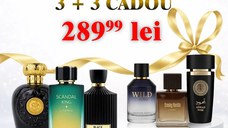 Black Orchestra + Scandal King + Opulent Oud + Wild Intense + Smoky Vanilla + Aswad