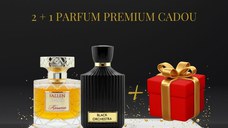 Fallen Angel + Black Orchestra + Parfum premium