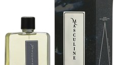 Masculine by Patric, apa de parfum 100 ml, barbati