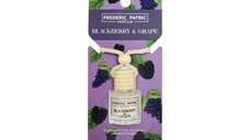 Odorizant auto Blackberry & Grape by Patric, 8 ml