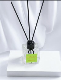 Odorizant camera - MELON by Patric - 50ml - 2