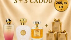 Pachet Cadou Parfumuri 100 ml: Opulent Musk, Scandal Queen, Fallen Angel