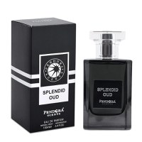 Pendora Scents Splendid Oud Eau de Parfum 100ml, barbati - 1
