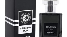 Pendora Scents Splendid Oud Eau de Parfum 100ml, barbati