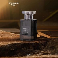 Pendora Scents Splendid Oud Eau de Parfum 100ml, barbati - 2