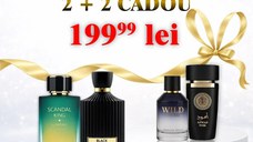 Scandal King + Black Orchestra + Wild Intense + Aswad Noir