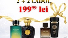 Scandal King + Opulent Oud + Smoky Vanilla + Aswad Noir