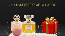 Scandal Queen + Fallen Angel + Parfum premium