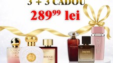 Scandal Queen + Opulent Musk + Rouge Dubai + Vie D'Amour + Smoky Vanilla + Lara Pink