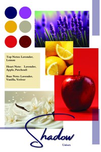Shadow by Patric, apa de parfum 100 ml, barbati - 2