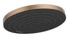 Palarie de dus Hansgrohe Pulsify S 260 1jet  bronz periat
