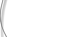 Sifon cu preaplin pentru cazi Duravit D-Code  d 52 mm  L1000 mm