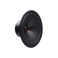 Difuzor auto DD Audio VO-M210-S4, 250mm, 150W RMS, 4Ω, Bucata - 1