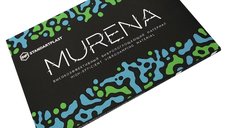 Insonorizant auto Premium STP Murena 2mm, 4.2m2, Bulk Pack
