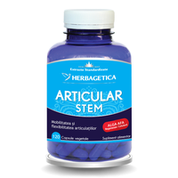 Articular Stem , 120 capsule, Herbagetica - 1