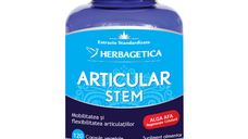 Articular Stem , 120 capsule, Herbagetica